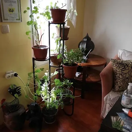 Guest house Vodolei Kotel