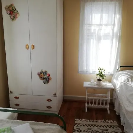 Guest house Vodolei 2*