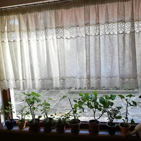 Vodolei Guest house Kotel