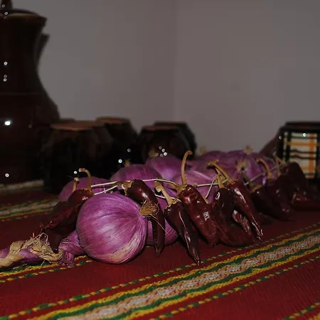 Guest house Vodolei Kotel