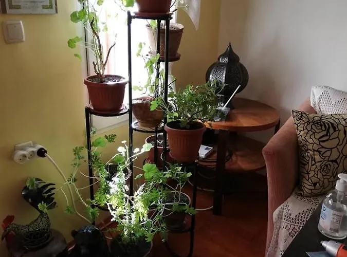 Casa de hóspedes Vodolei Kotel