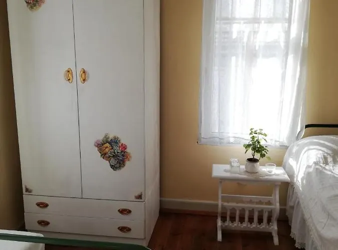 Casa de hóspedes Vodolei 2*