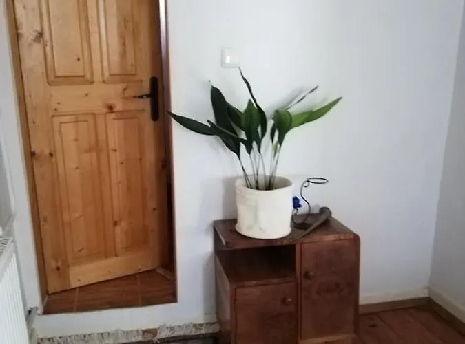 Casa de hóspedes Vodolei