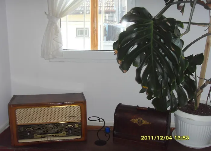 Casa de hóspedes Vodolei 2*